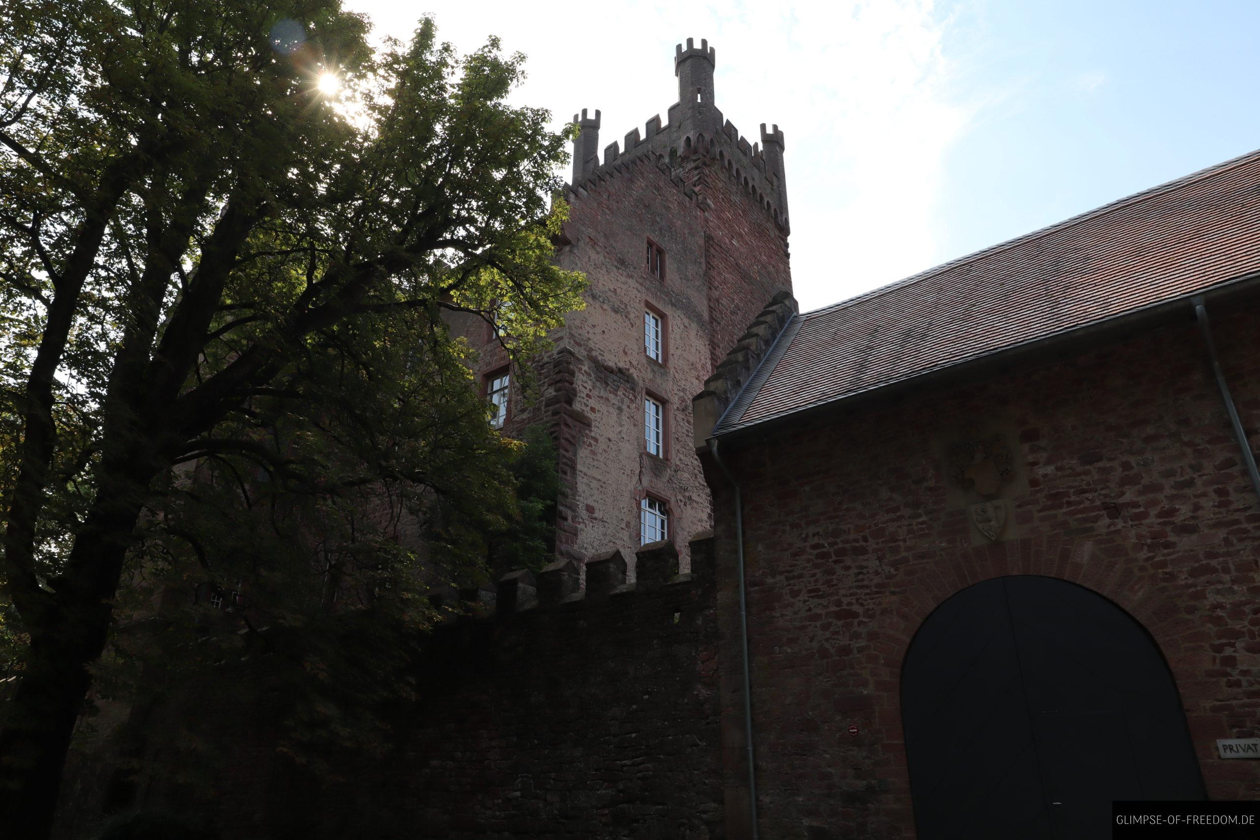 mittelburg vom burgenweg aus scaled 1 mittelburg vom burgenweg aus scaled