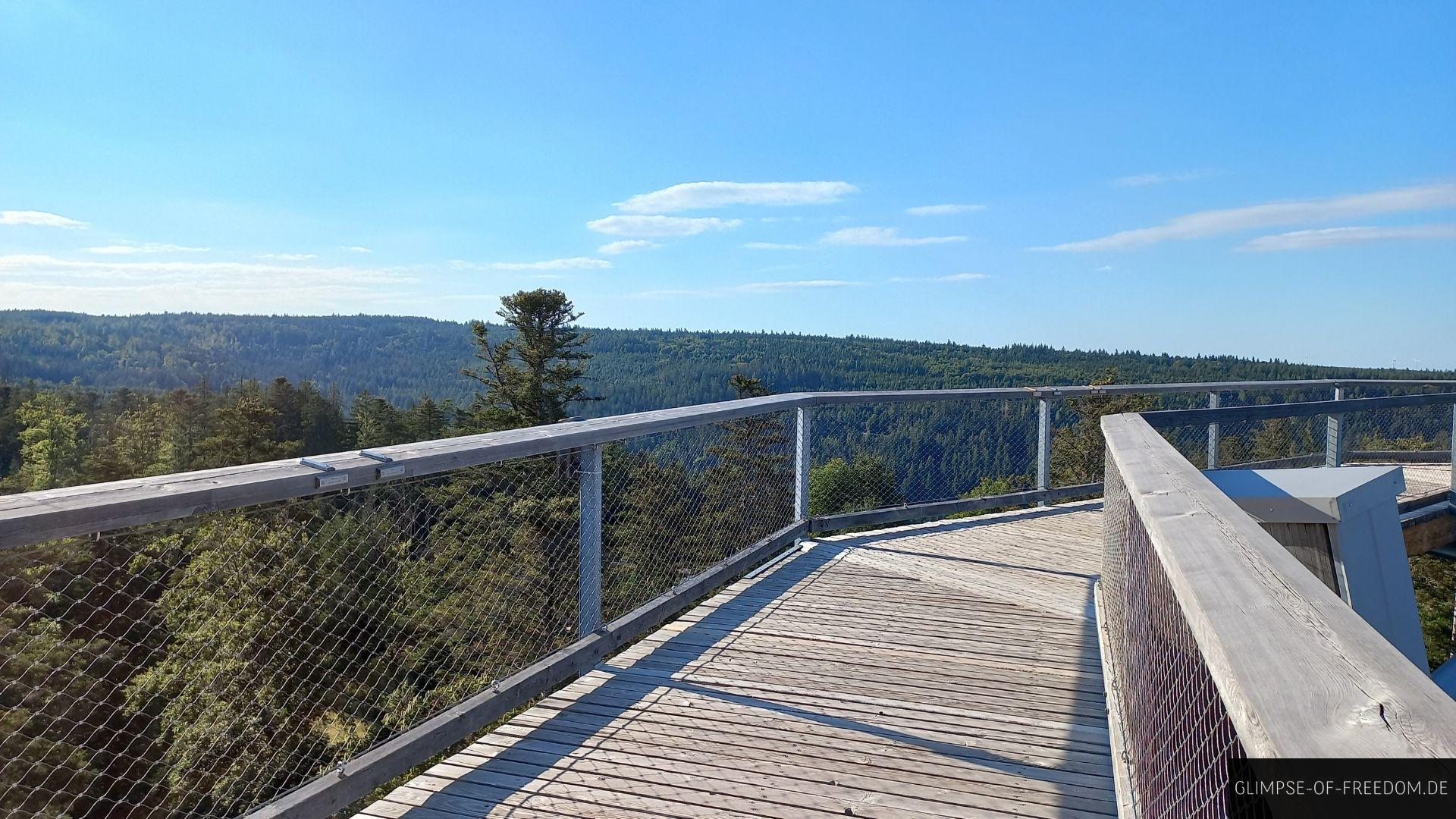 obere Plattform auf dem Aussichtsturm Schwarzwald obere Plattform auf dem Aussichtsturm Schwarzwald