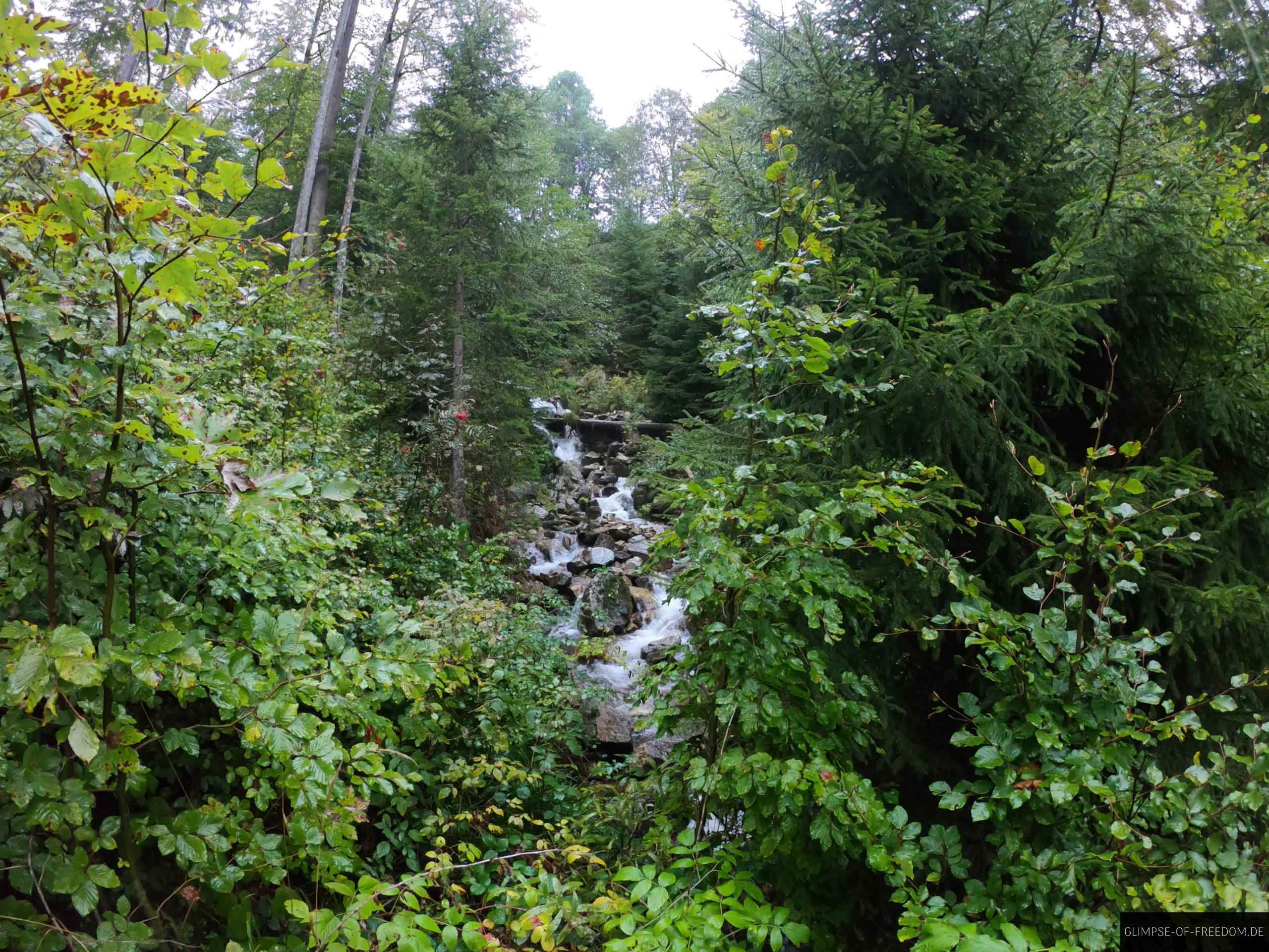 oberer bach des fahler wasserfalls scaled 1 oberer bach des fahler wasserfalls scaled