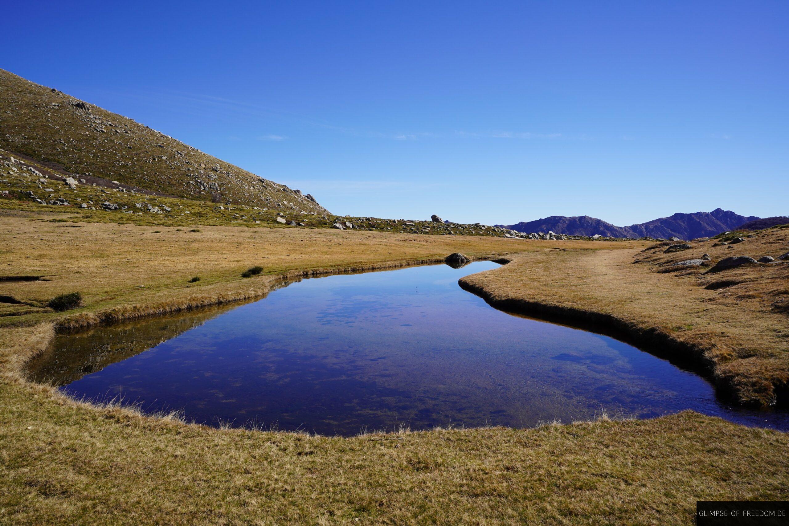 pozzi seen korsika moorwiesen bergpanorama 1 scaled Pozzi Seen auf Korsika: Moorwiesen, Bergpanorama und klare Spiegelung im Wasser.