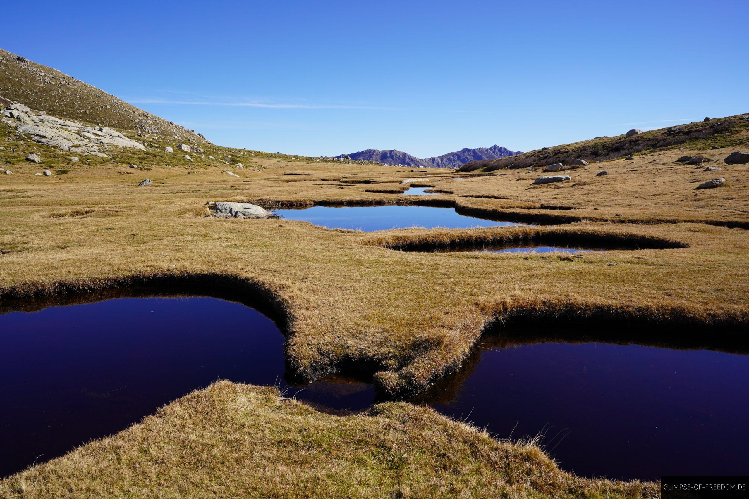 pozzi seen korsika moorwiesen bergpanorama 2 scaled Pozzi Seen auf Korsika: Moorwiesen, Bergpanorama und Wasserstellen unter blauem Himmel.