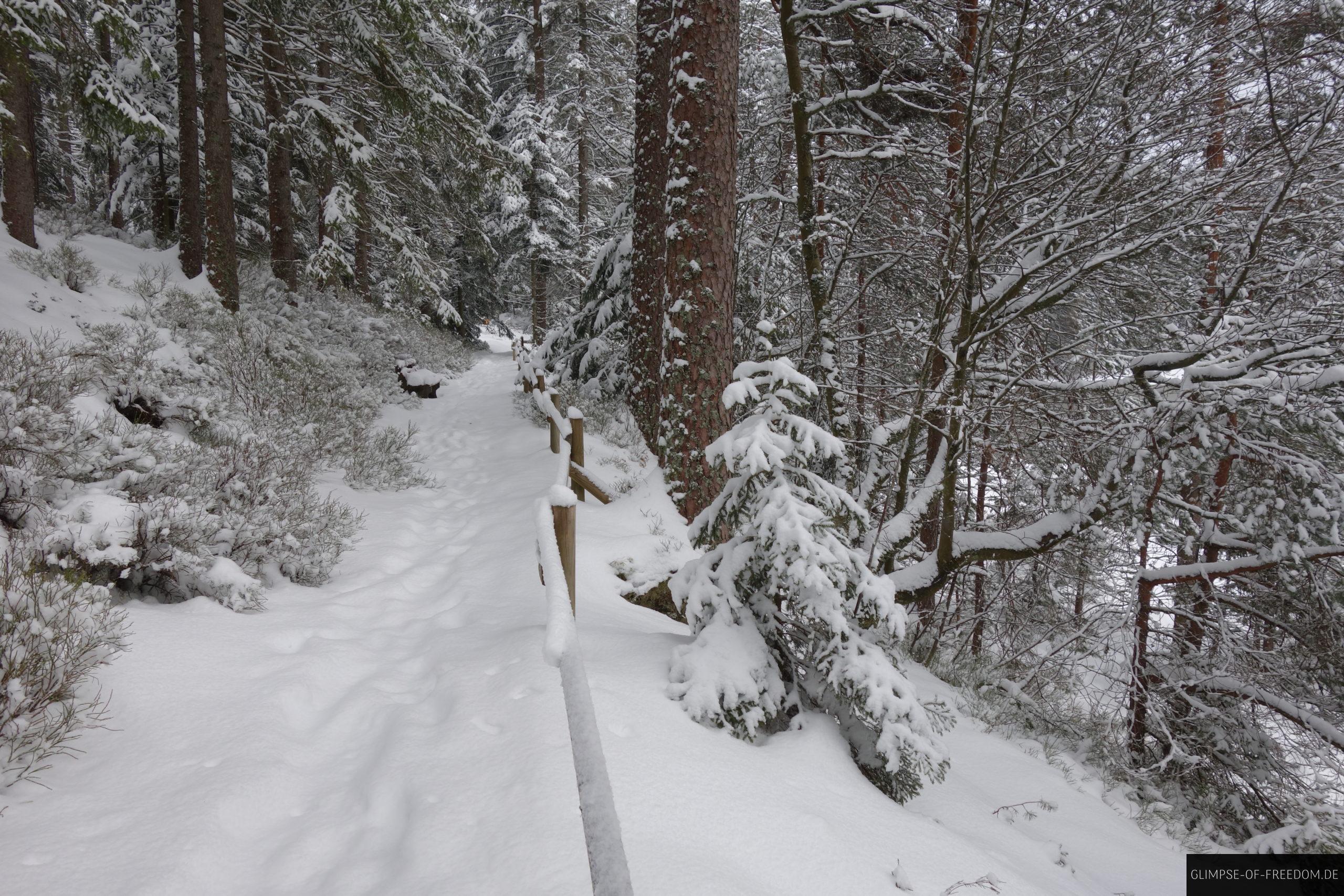 rundweg herrenwieser see scaled 1 rundweg herrenwieser see scaled