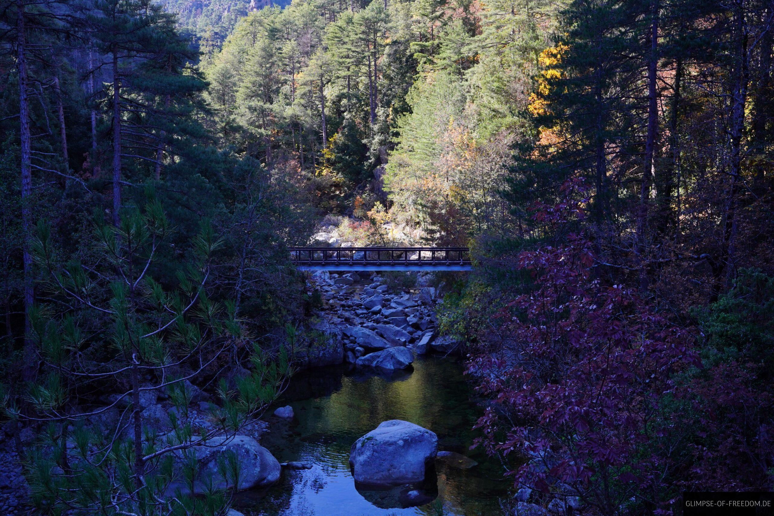 russulinu bruecke tavignano fluss korsika scaled Russulinu Brücke über den Tavignano Fluss auf Korsika, umgeben von Wald. Wanderung in der Schlucht.