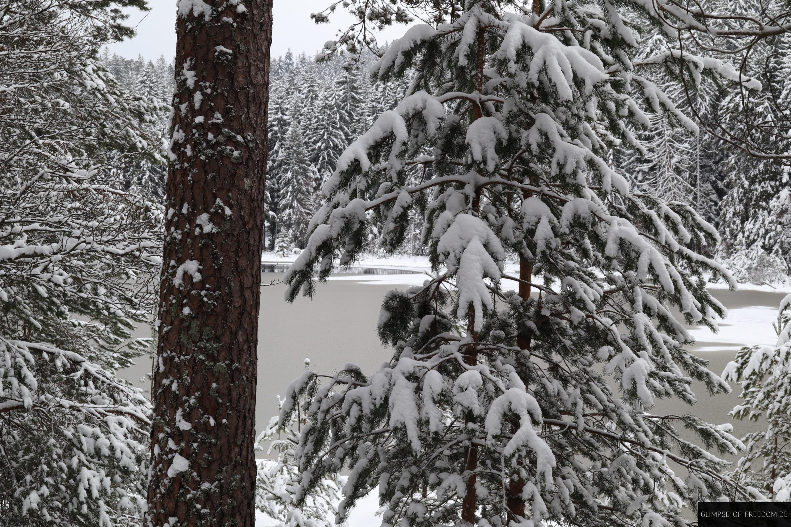 schnee am herrenwieser see scaled 1 schnee am herrenwieser see scaled