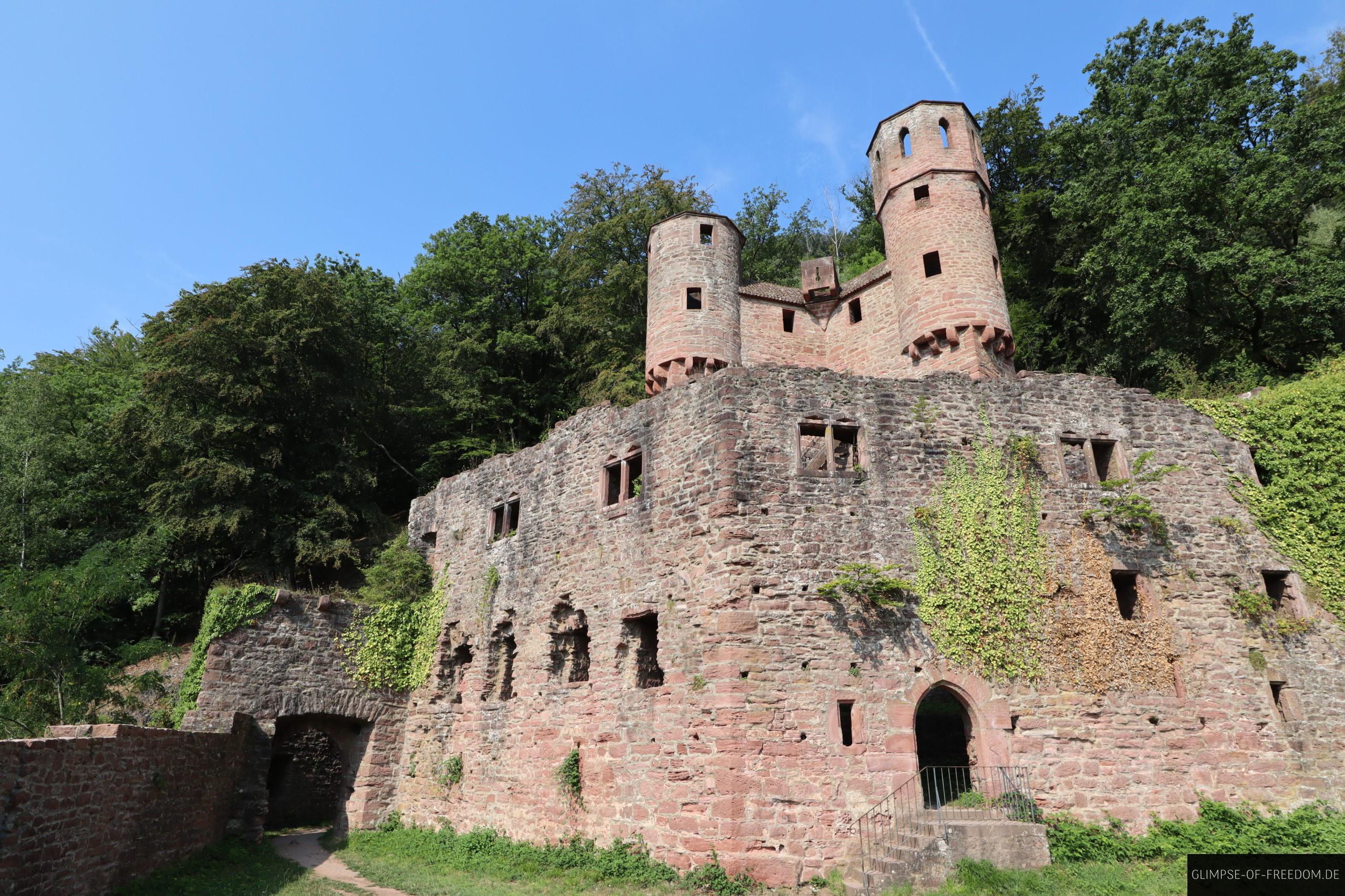 schwalbennest scaled 1 schwalbennest scaled