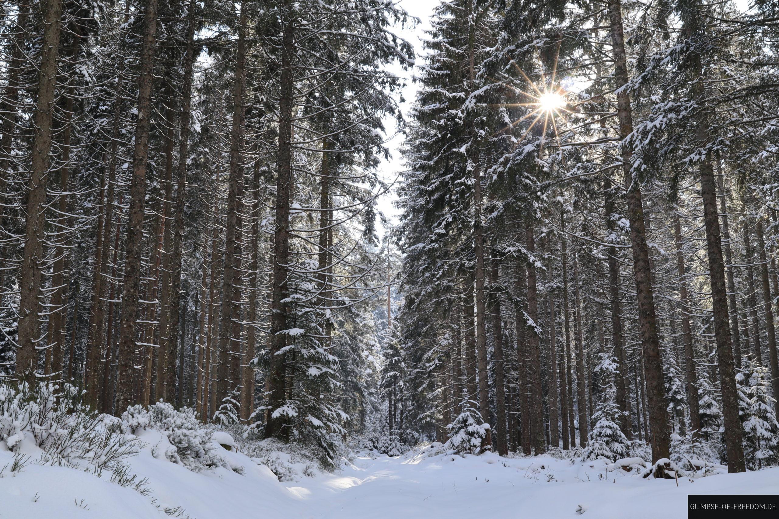 sonnenstrahlen im schnee schwarzenbachtalsperre herrenwies scaled 1 sonnenstrahlen im schnee schwarzenbachtalsperre herrenwies scaled
