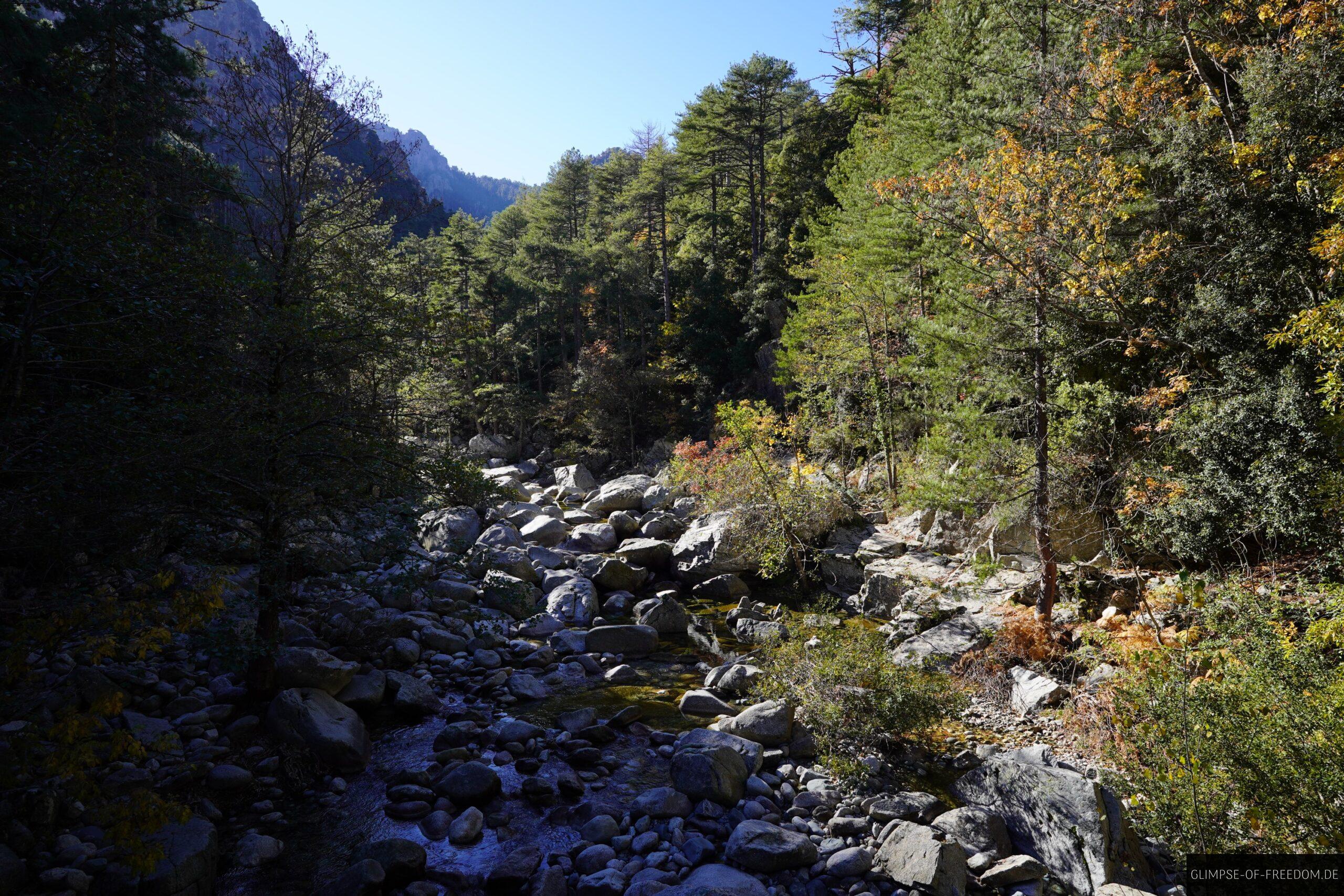 tavignano schlucht felsen baeume korsika scaled Tavignano Schlucht: Bachlauf mit Felsen und Bäumen auf Korsika unter blauem Himmel.