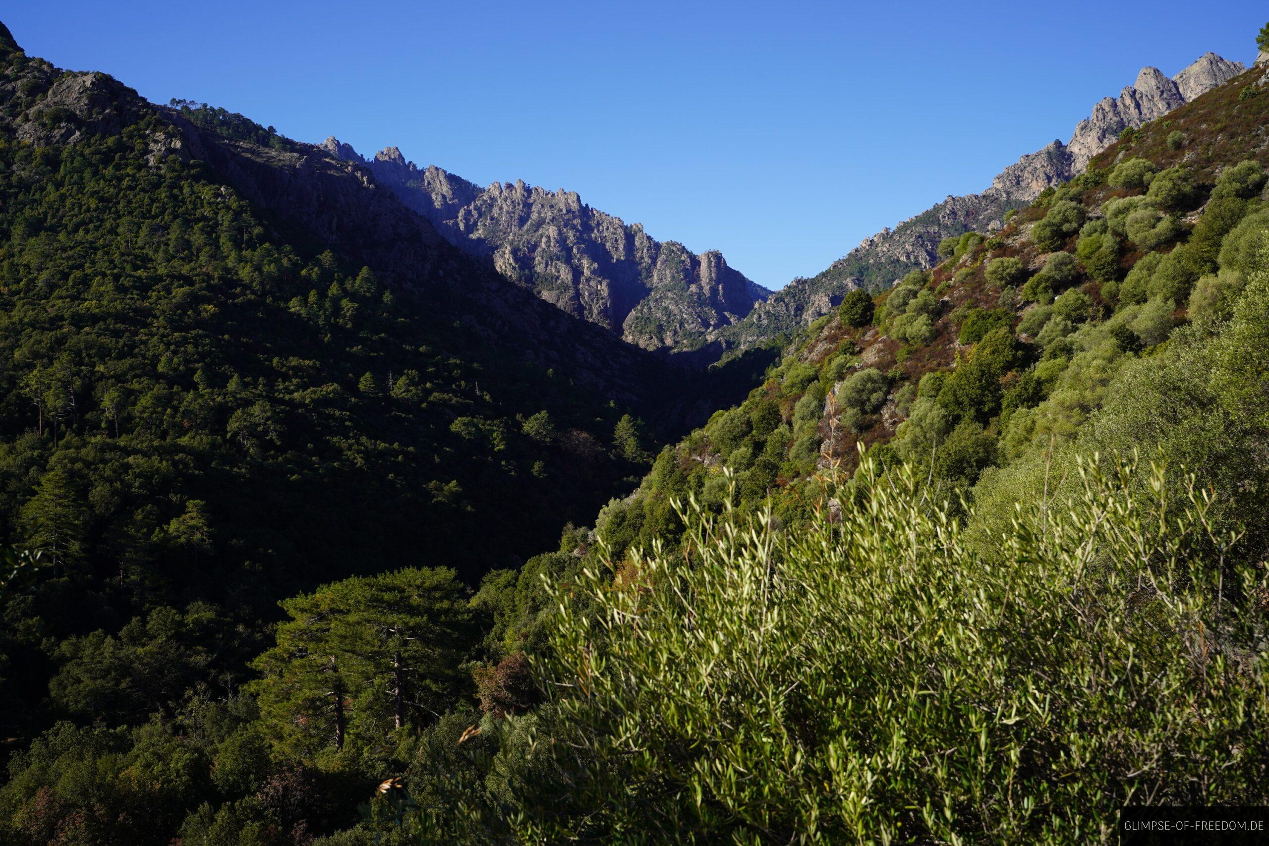 tavignano schlucht korsika berge landschaft scaled Tavignano Schlucht Korsika: Grüne Vegetation und felsige Berge unter blauem Himmel.