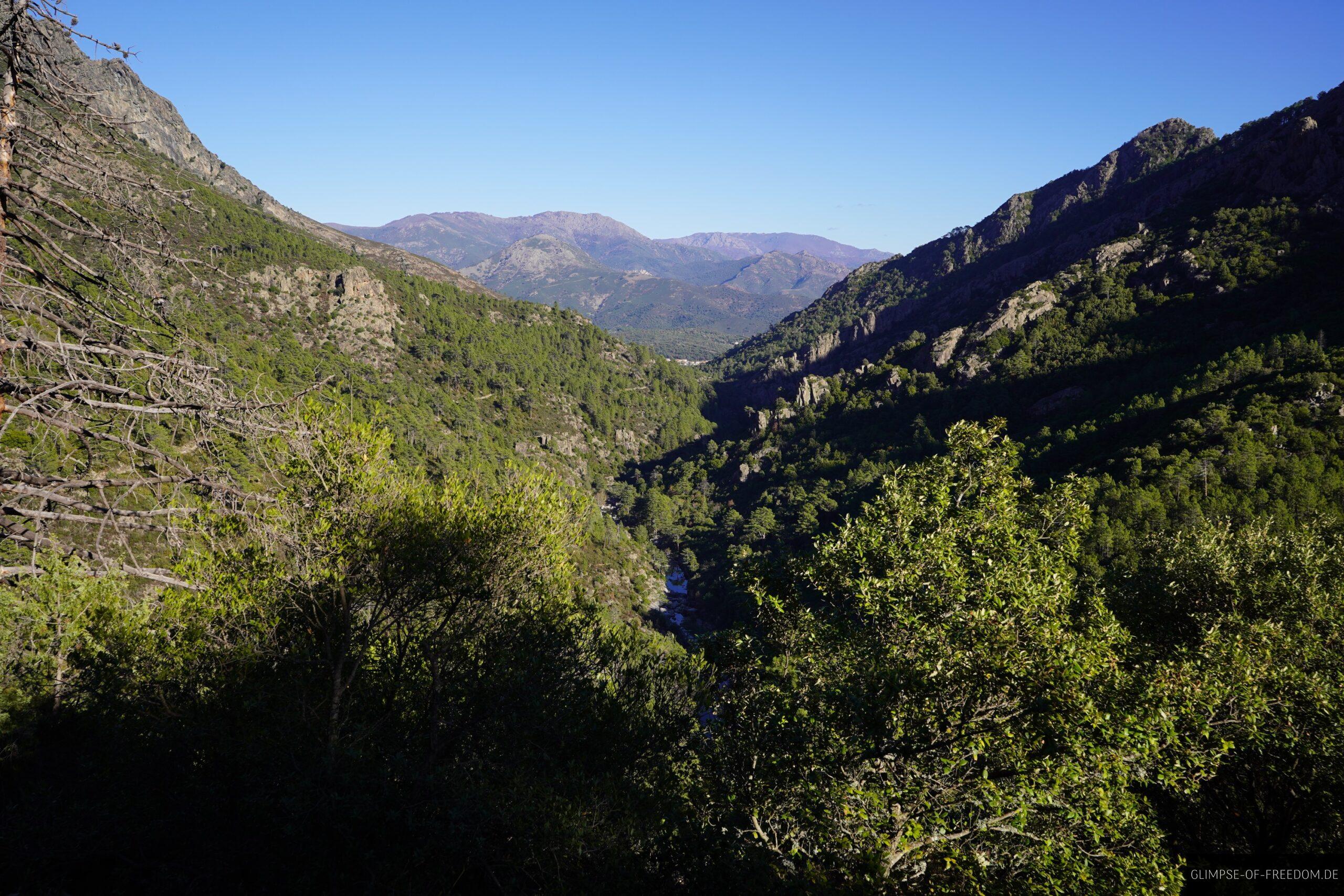tavignano schlucht korsika berge tal scaled Tavignano Schlucht Korsika: Blick auf bewaldete Berge und tief eingeschnittenes Tal unter blauem Himmel.