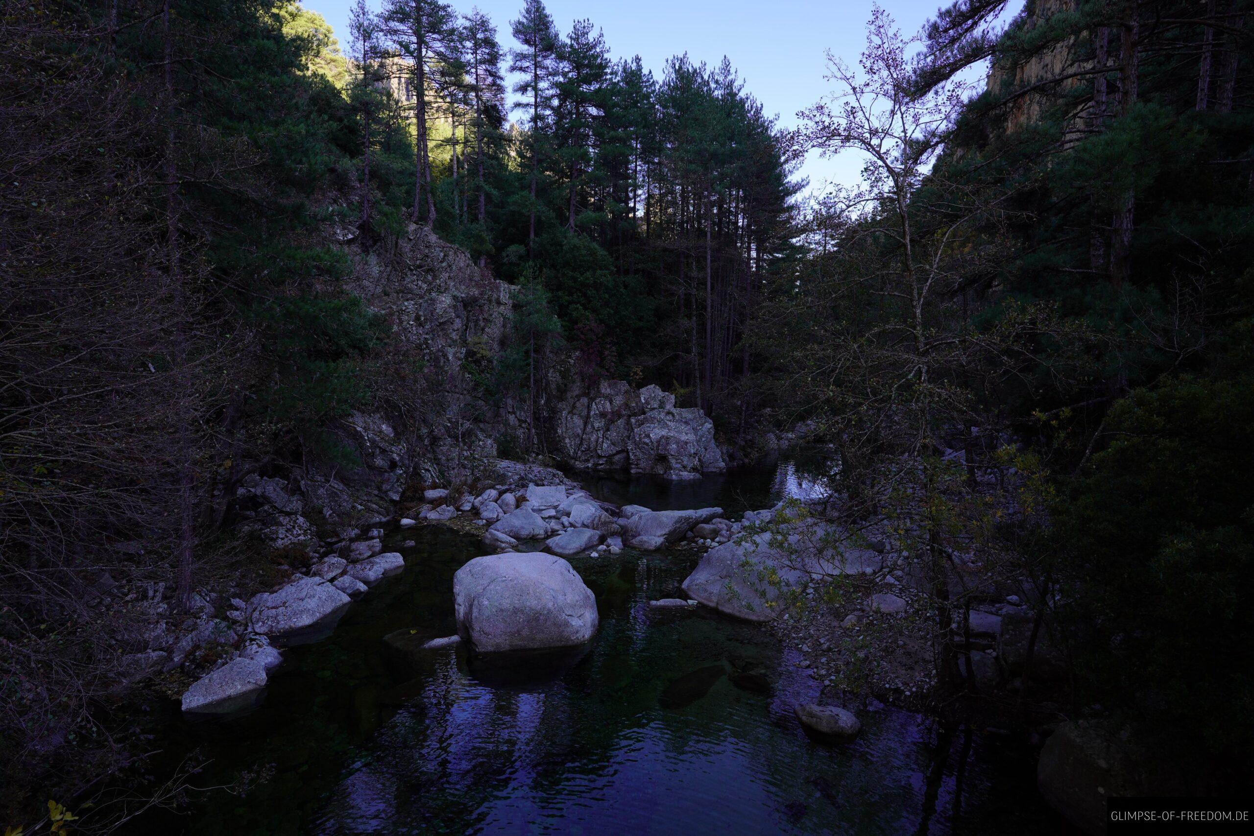tavignano schlucht korsika felsen fluss 1 scaled Tavignano Schlucht Korsika: Fluss mit Felsen und Bäumen im Gorges du Tavignano.