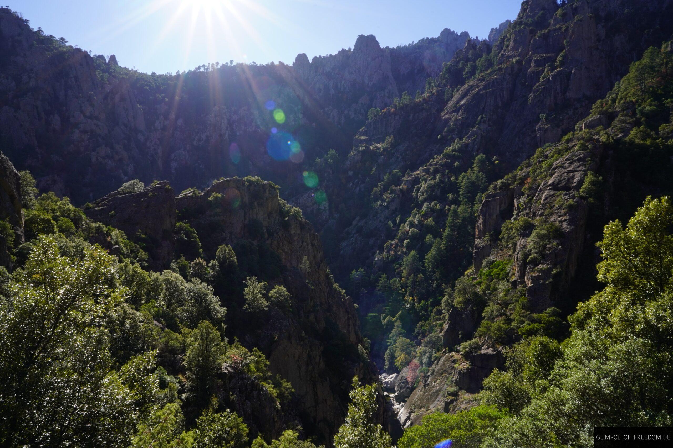 tavignano schlucht korsika sonnenschein scaled Tavignano Schlucht Korsika: Blick in die felsige Schlucht mit Bäumen und Sonnenschein.