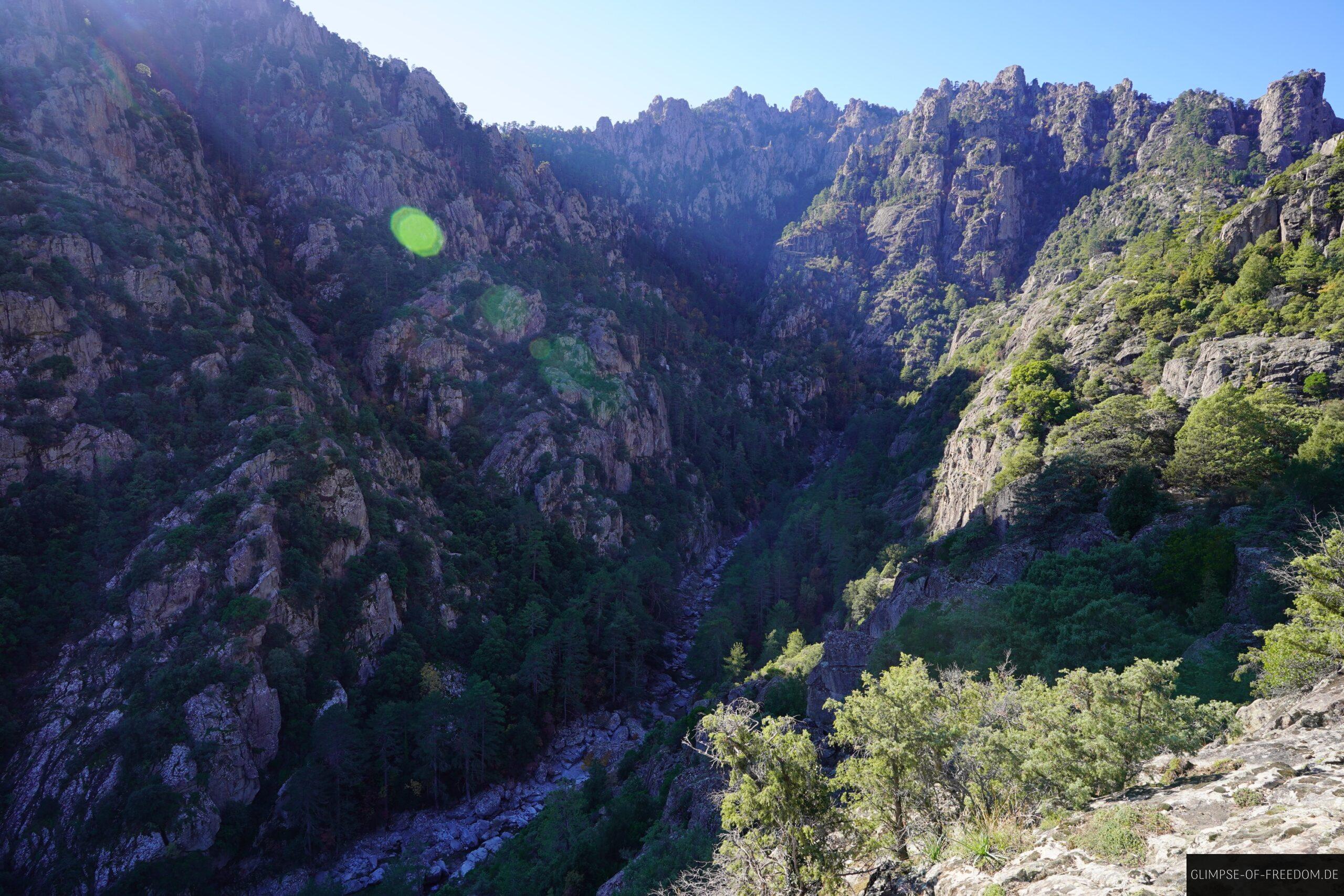 tavignano schlucht korsika wanderung gorges scaled Tavignano Schlucht auf Korsika mit steilen Felswänden und grüner Vegetation. Wanderung durch die Gorges du Tavignano.