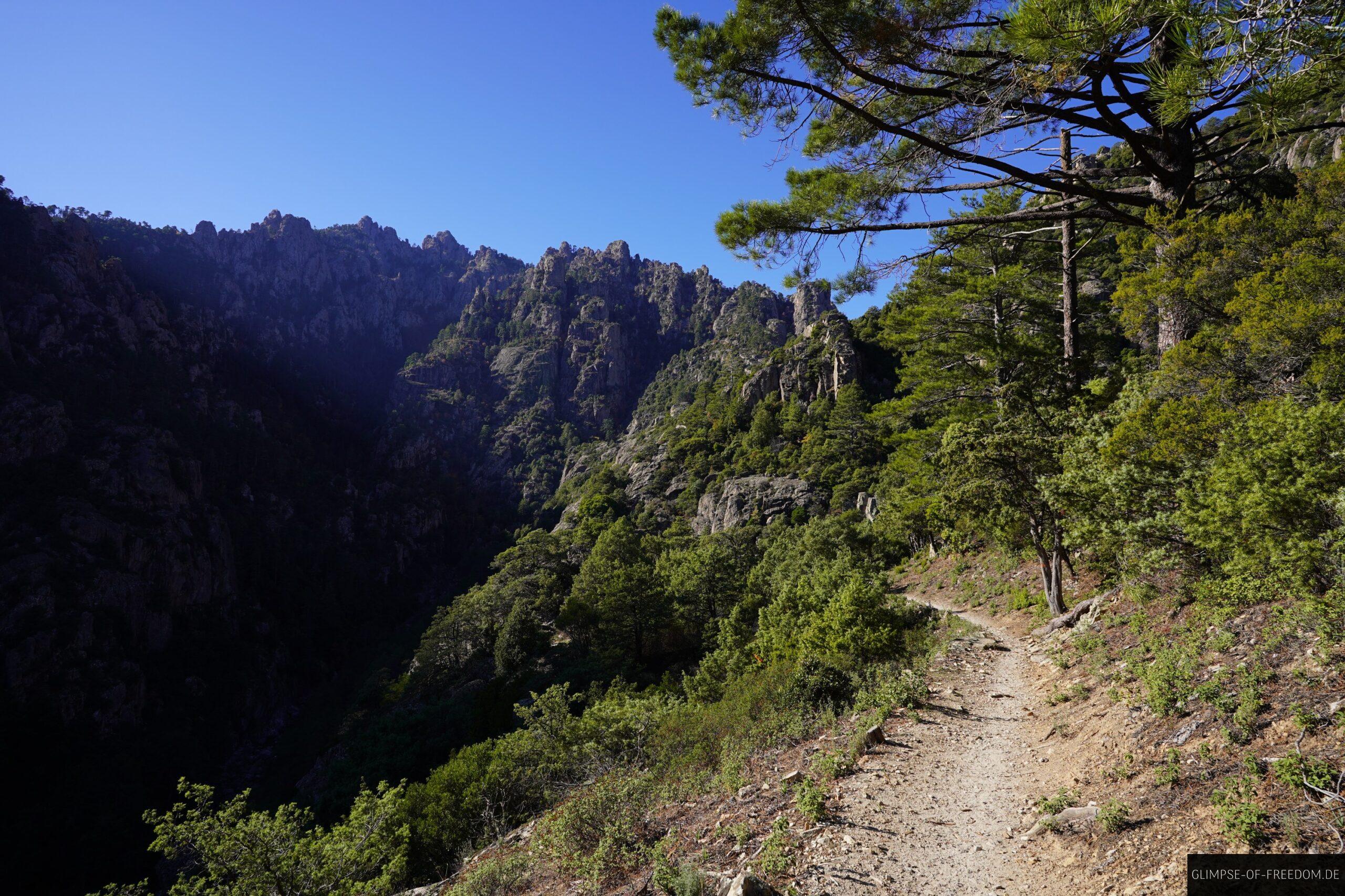 tavignano schlucht korsika wanderweg felsen 1 scaled Wanderweg in der Tavignano Schlucht auf Korsika mit Felsen und Bäumen unter blauem Himmel.