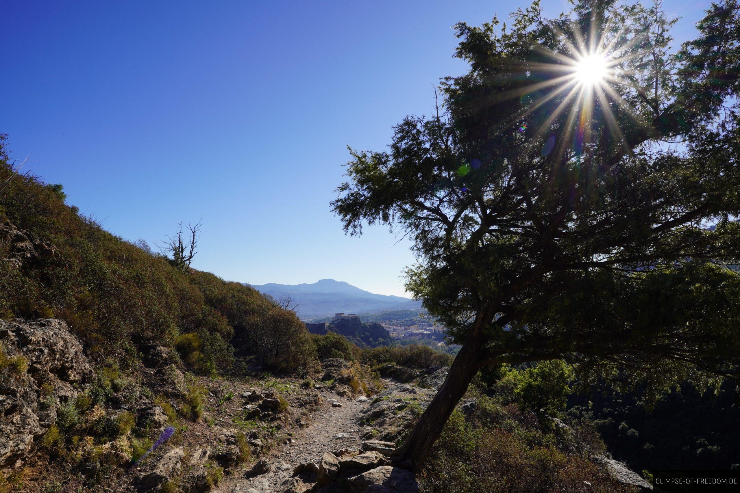 tavignano schlucht wanderung korsika berge 1 scaled Wanderweg in der Tavignano Schlucht, Korsika, mit Blick auf Berge und Stadt unter blauem Himmel. Sonne durch Baum.
