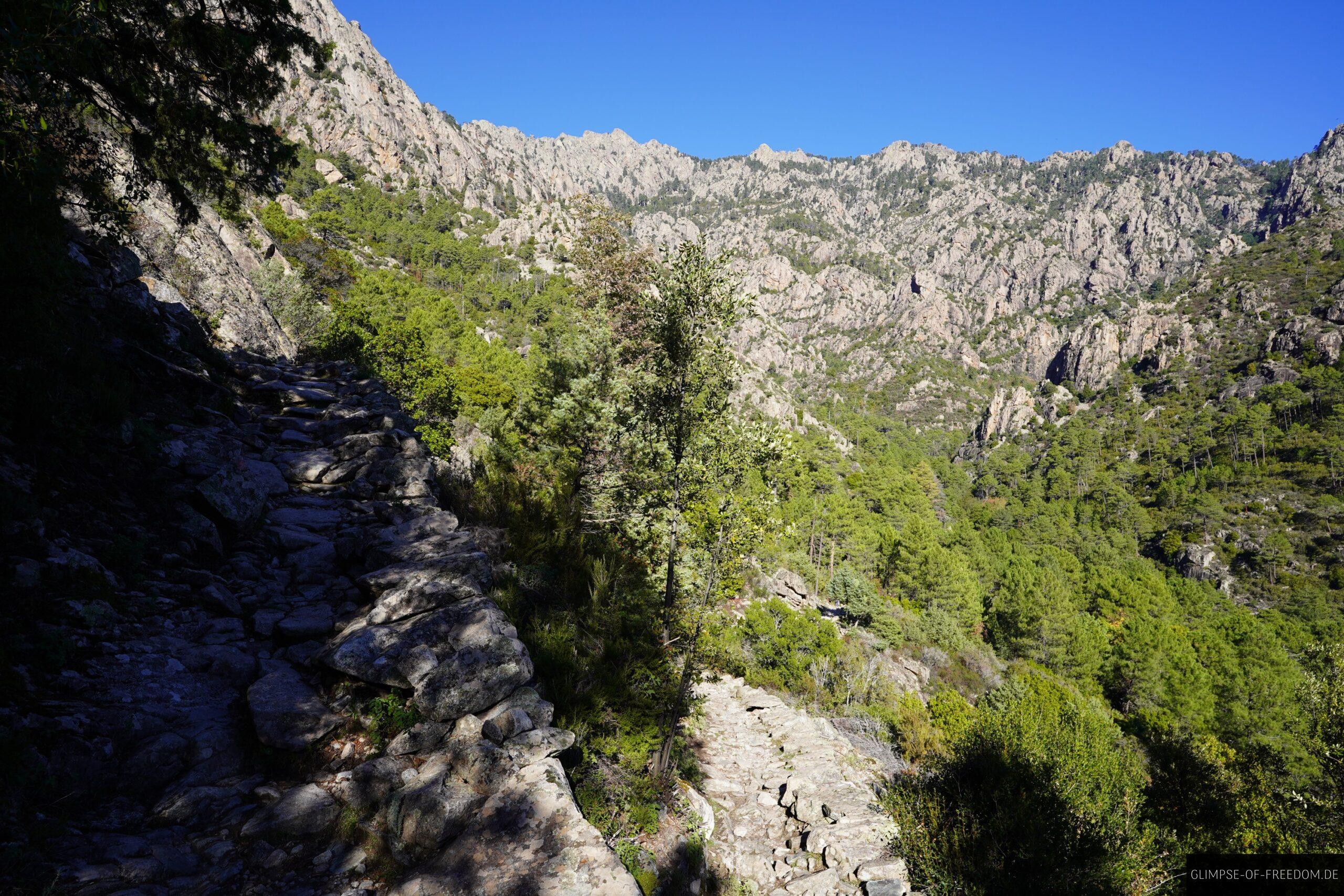 tavignano schlucht wanderung korsika berge 2 scaled Wanderweg in der Tavignano Schlucht auf Korsika mit Blick auf die Berge und grüne Vegetation.
