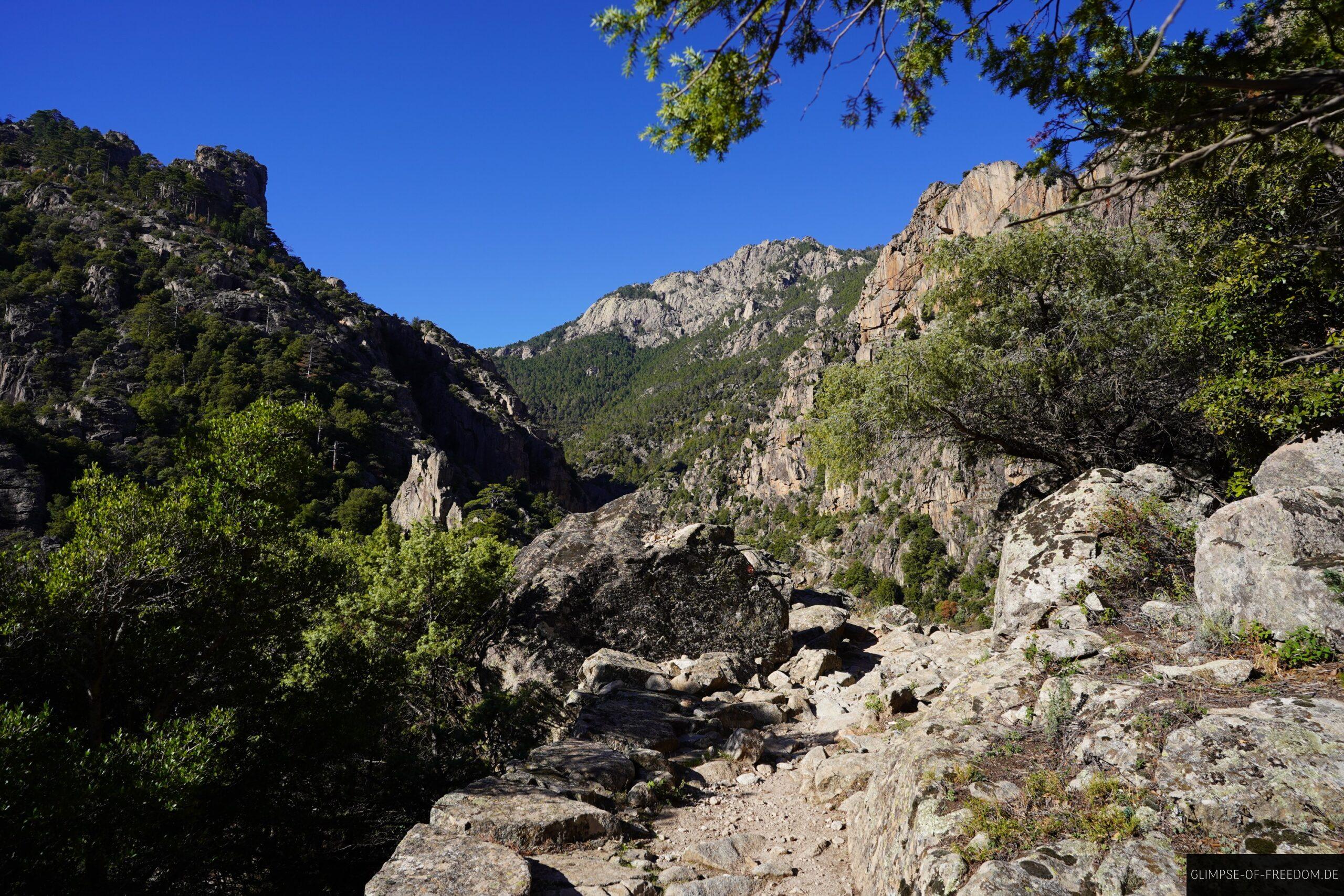 tavignano schlucht wanderung korsika felsen scaled Wanderweg durch die Tavignano Schlucht auf Korsika mit Felsen und Vegetation unter blauem Himmel.