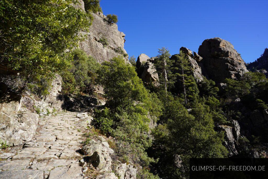 Wanderweg in der Tavignano Schlucht, Korsika, mit Felsen und grüner Vegetation unter blauem Himmel.