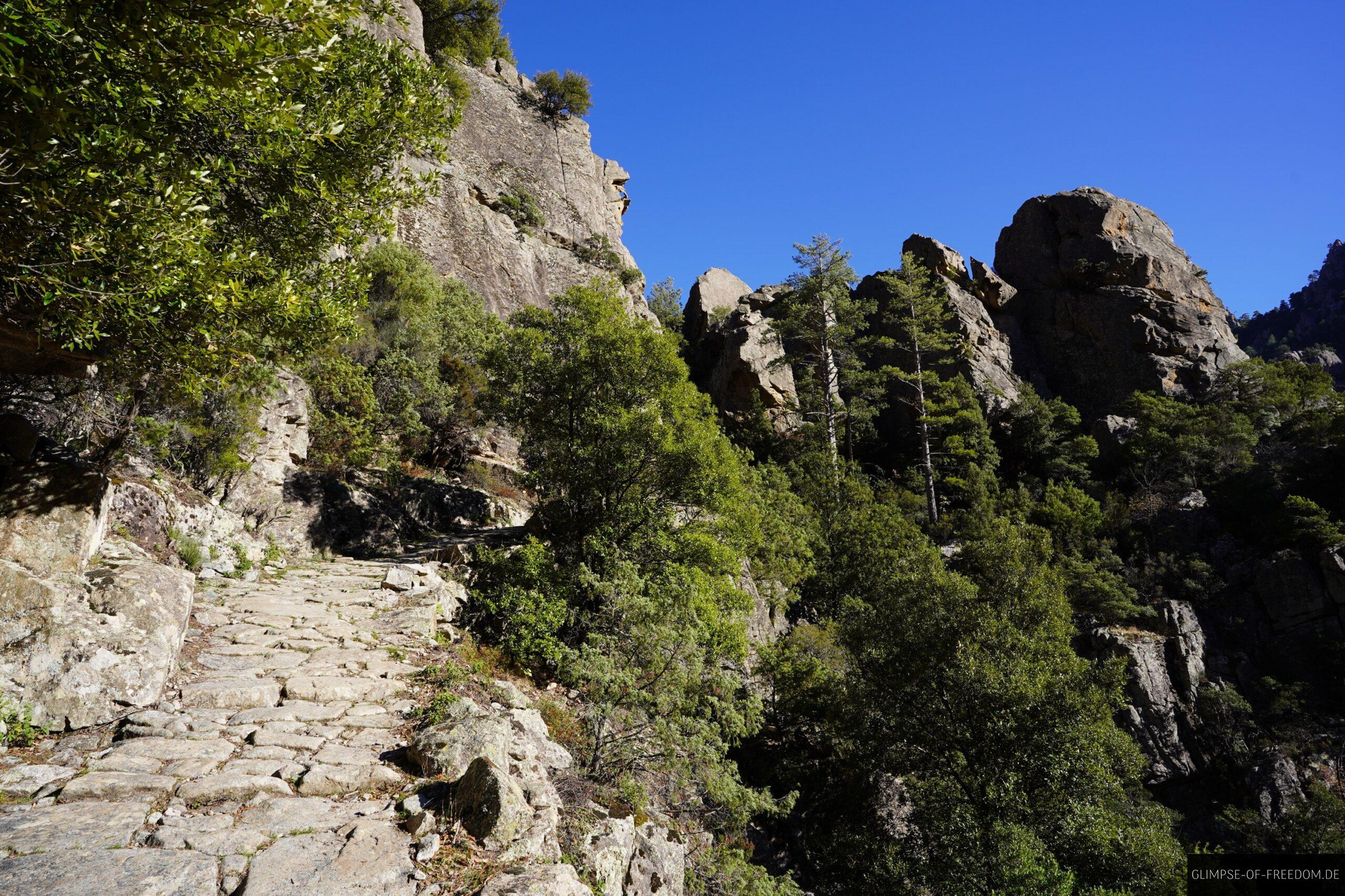 tavignano schlucht wanderweg korsika 1 scaled Wanderweg in der Tavignano Schlucht, Korsika, mit Felsen und grüner Vegetation unter blauem Himmel.