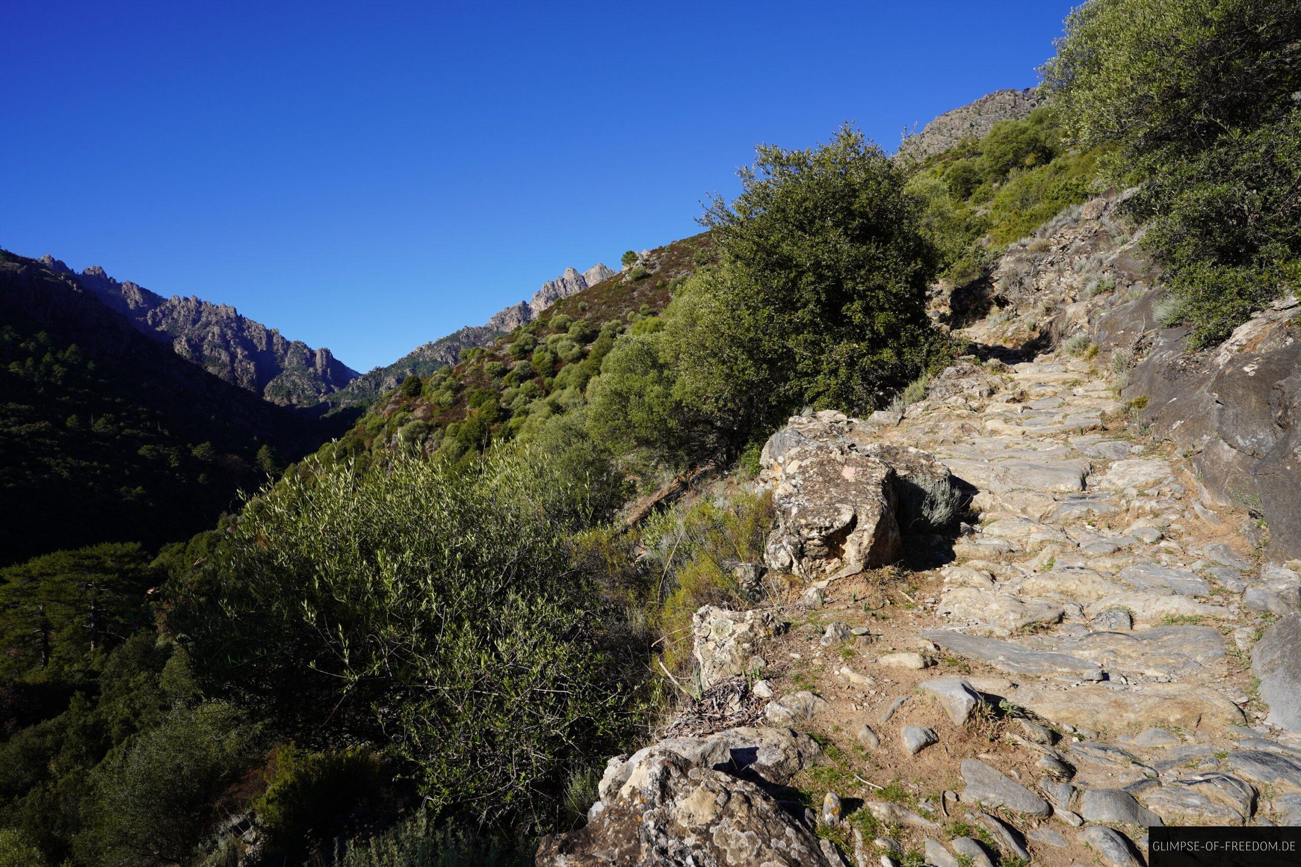 tavignano schlucht wanderweg korsika scaled Wanderweg in der Tavignano Schlucht, Korsika mit blauem Himmel.