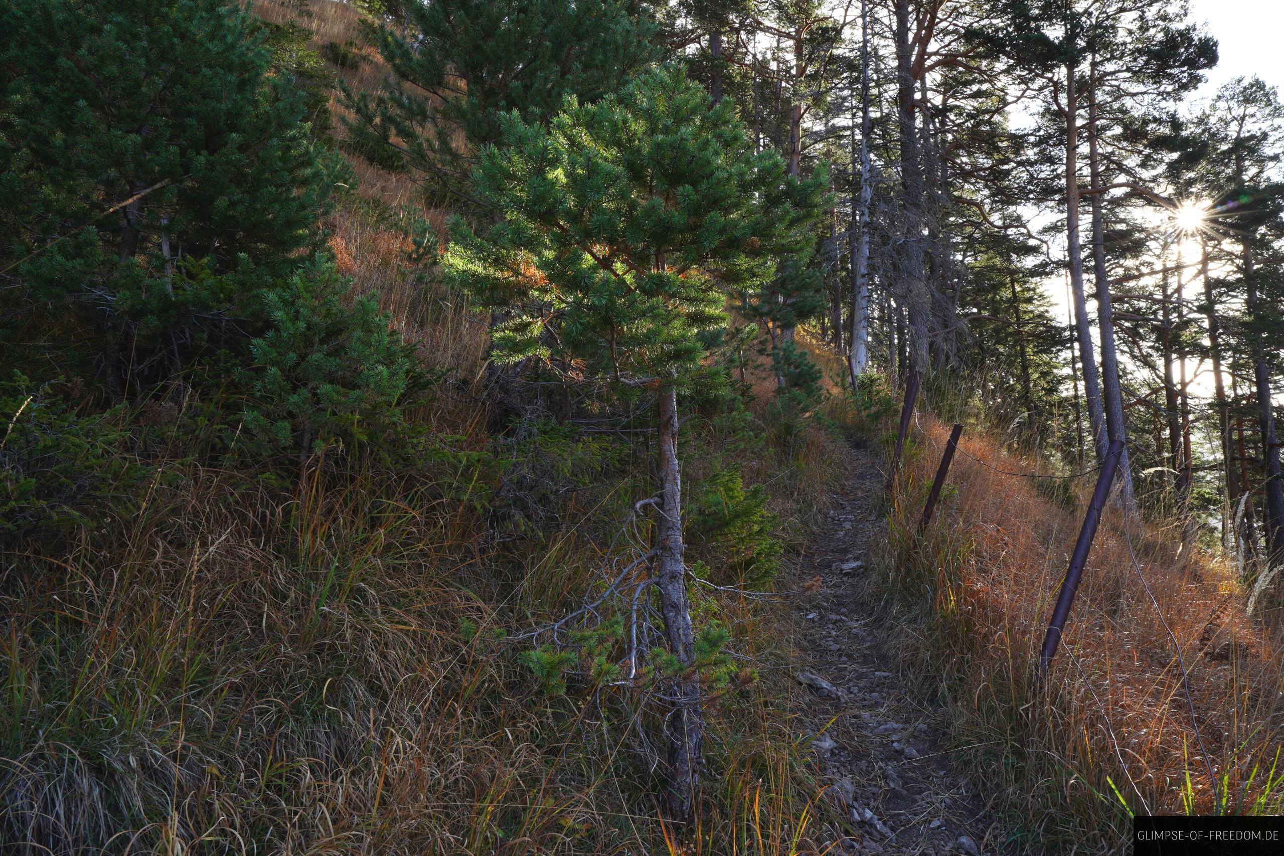 toller schmaler Wanderpfad toller schmaler Wanderpfad