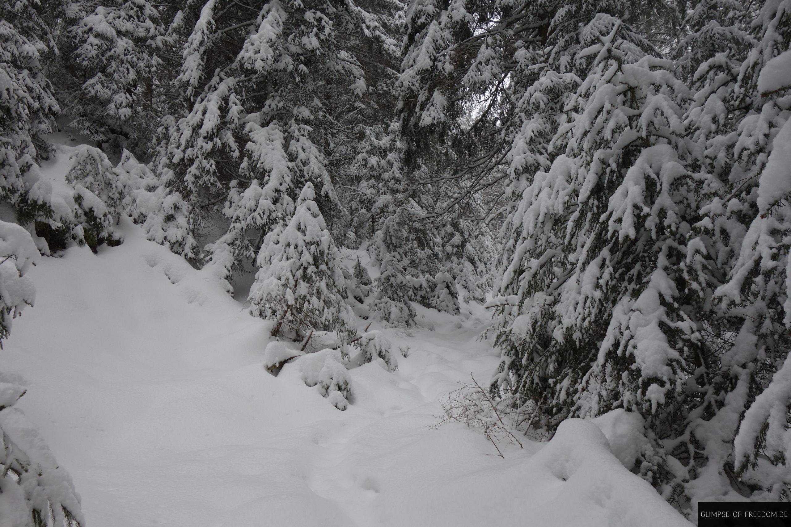 verschneite wege nahe der schwarzenbachtalsperre scaled 1 verschneite wege nahe der schwarzenbachtalsperre scaled