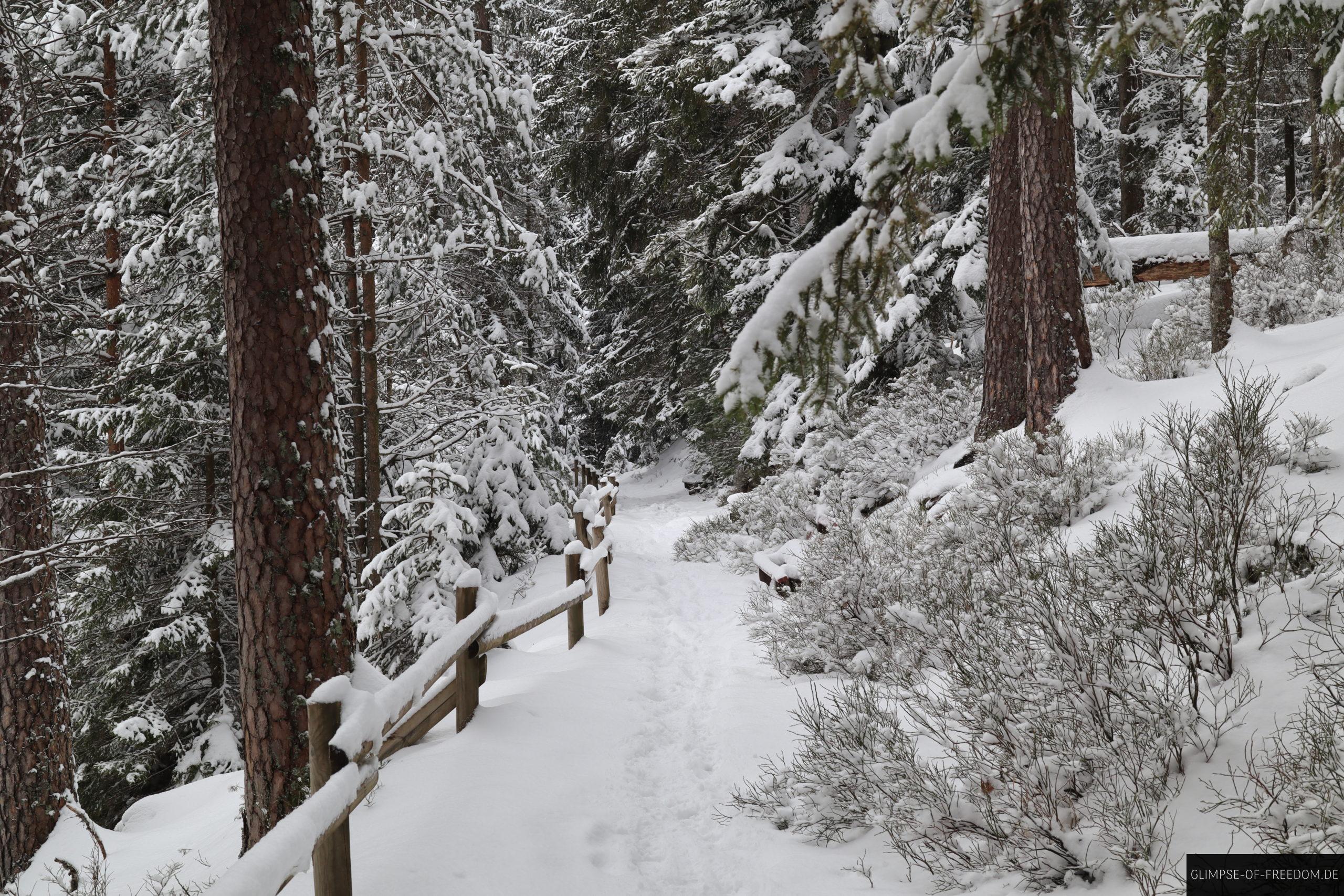 verschneiter herrenwieser see rundweg scaled 1 verschneiter herrenwieser see rundweg scaled