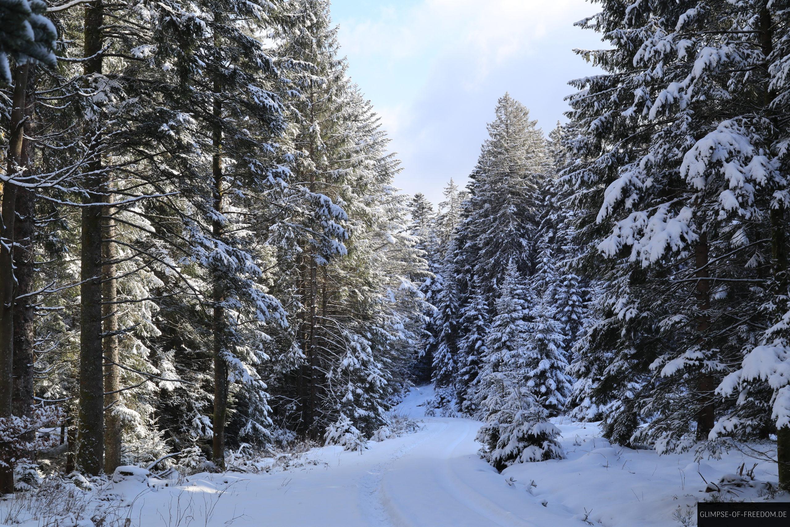 von der schwarzenbachtalsperre zum herrenwieser see scaled 1 von der schwarzenbachtalsperre zum herrenwieser see scaled