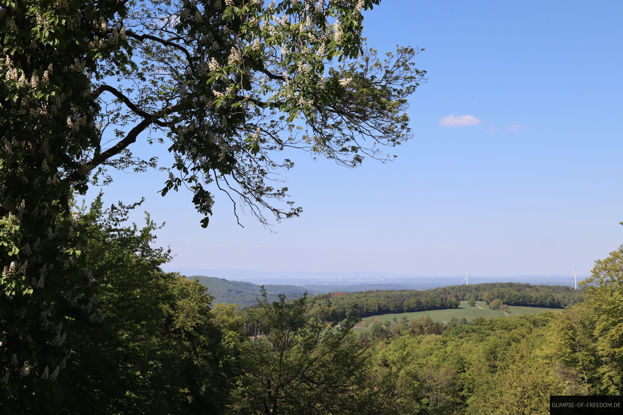 wandern melibokus galerie scaled 1 wandern melibokus galerie scaled