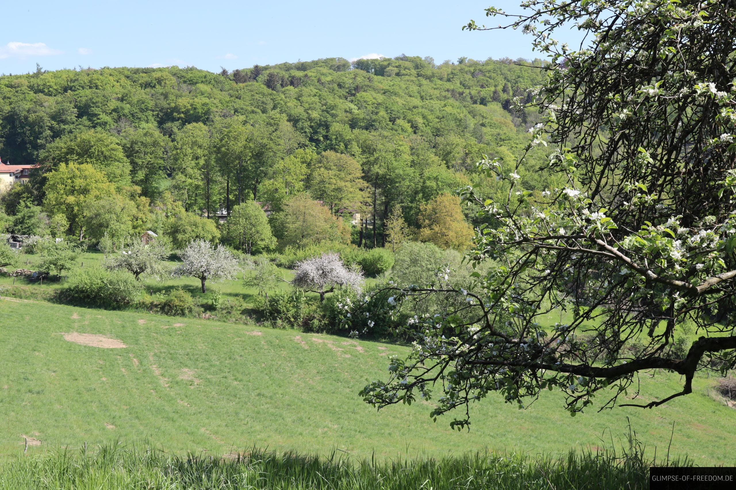 wandern melibokus wiesen ausblick scaled 1 wandern melibokus wiesen ausblick scaled