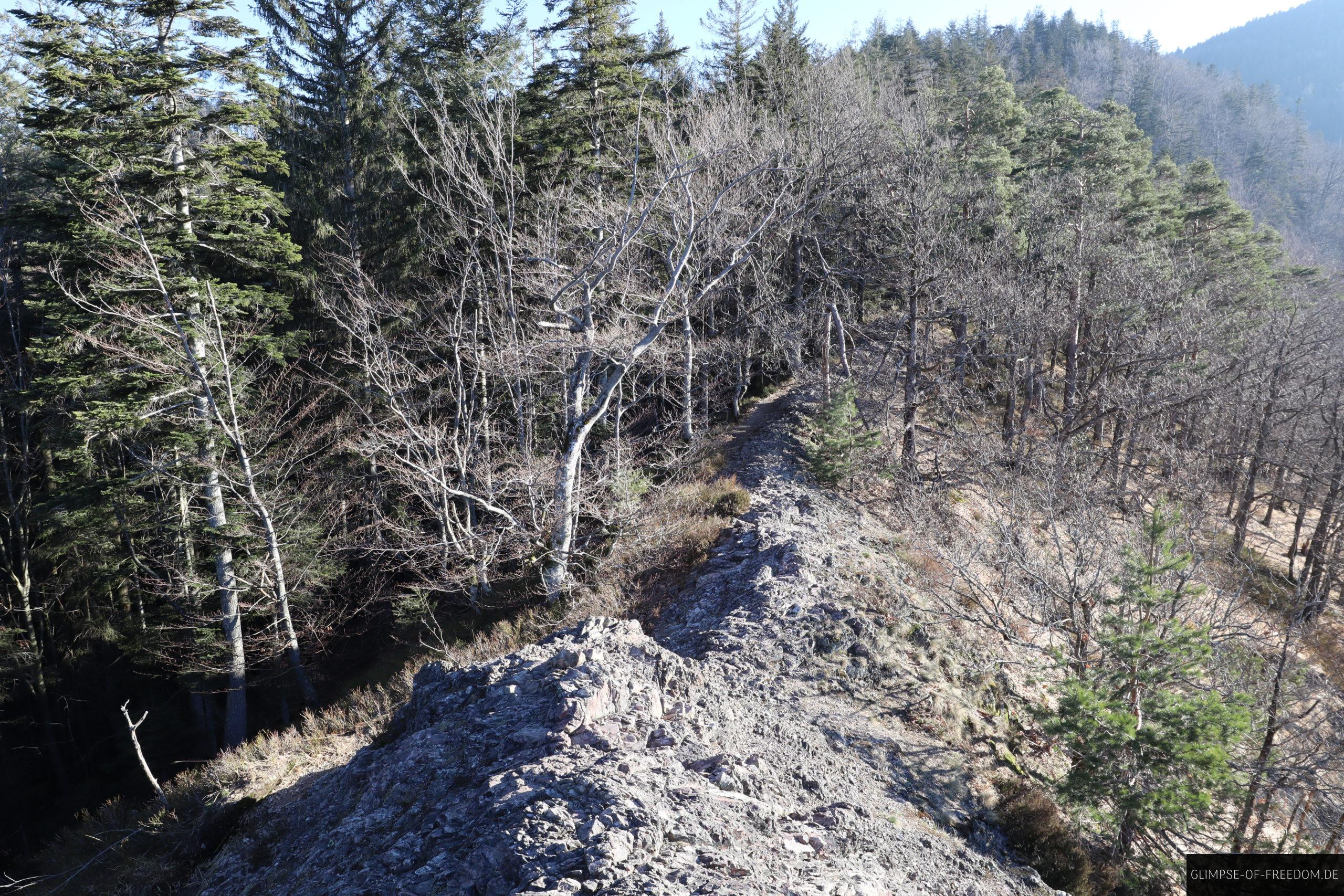 wegabschnitt karlruher grat wanderung scaled 1 wegabschnitt karlruher grat wanderung scaled