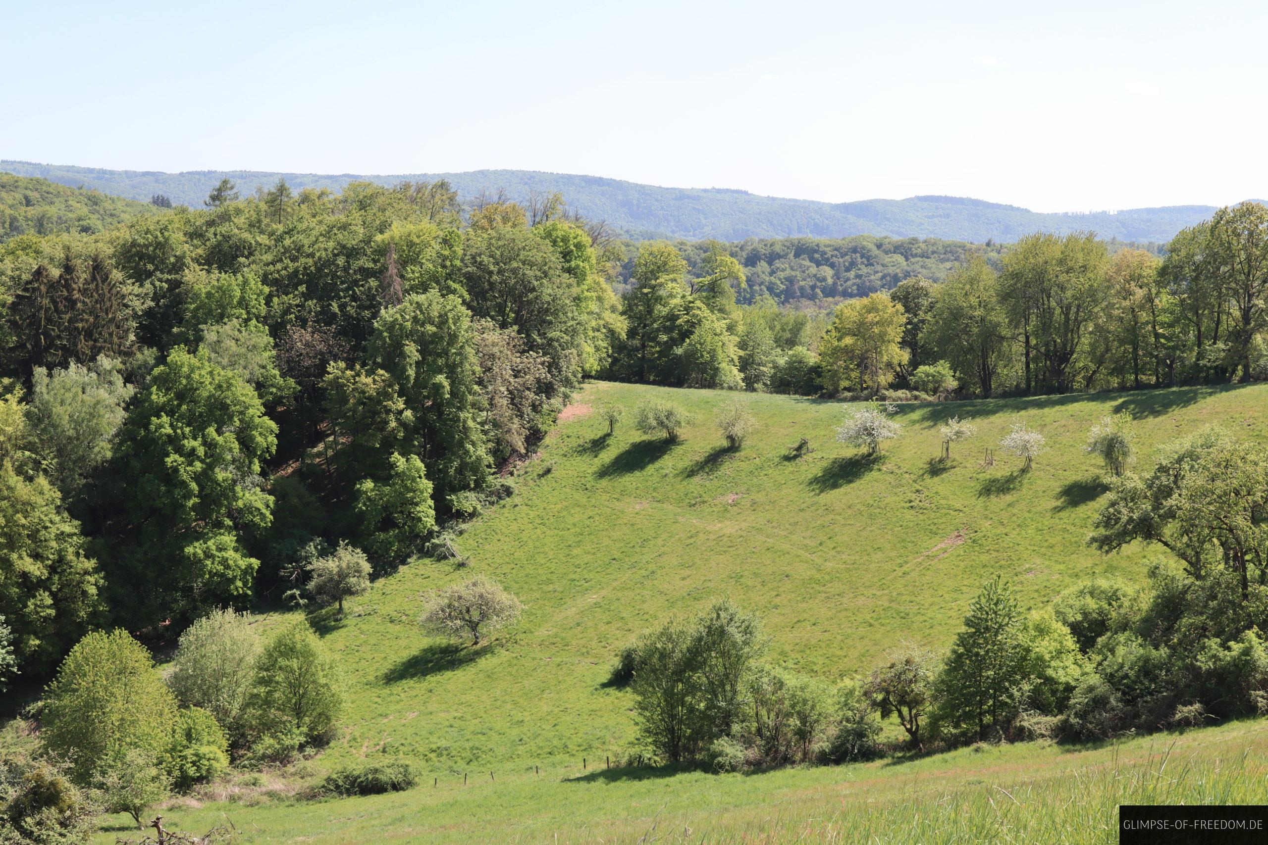 wiesen und odenwald scaled 1 wiesen und odenwald scaled