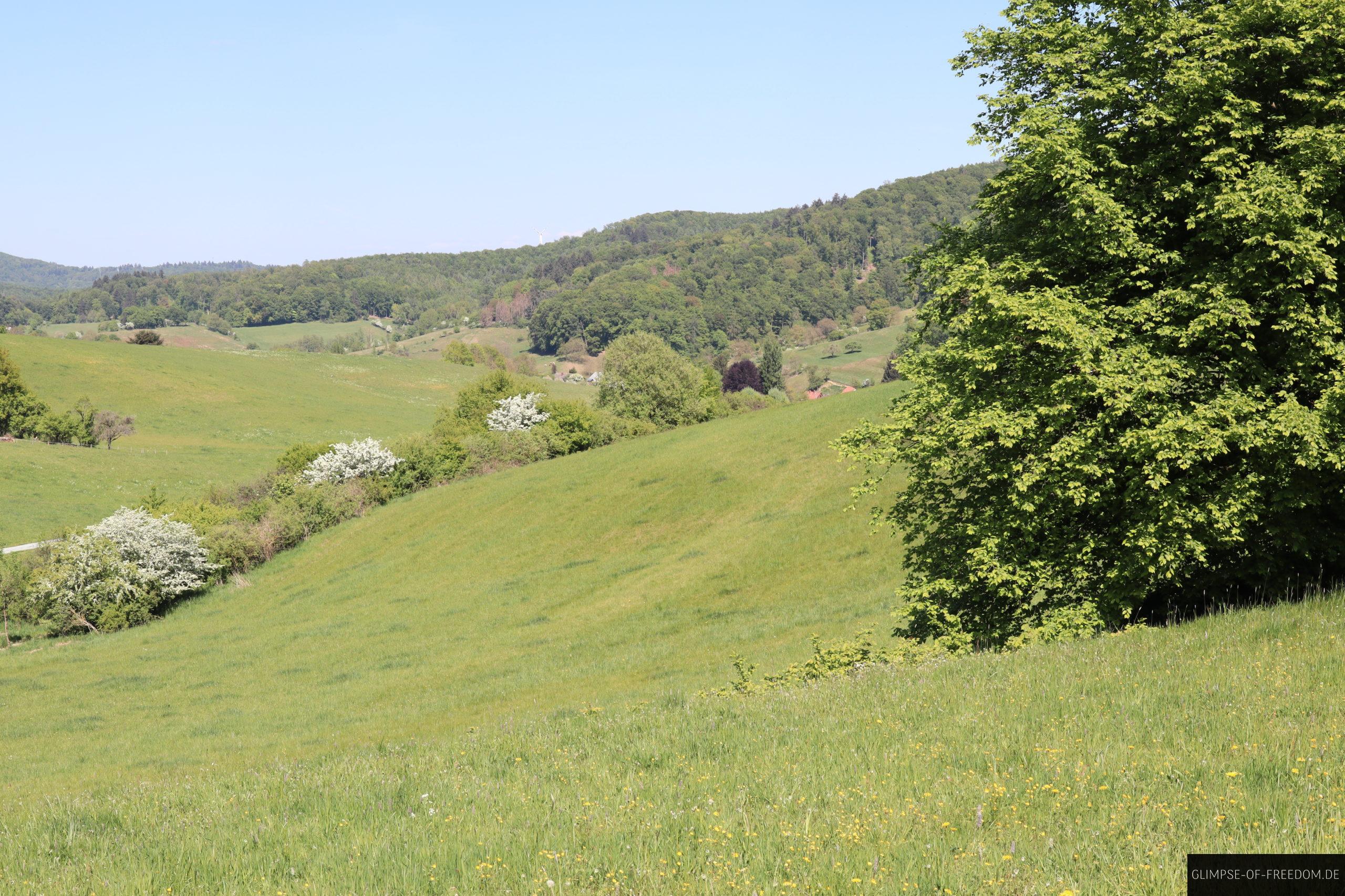 wiesenlandschaft vorderer odenwald scaled 1 wiesenlandschaft vorderer odenwald scaled