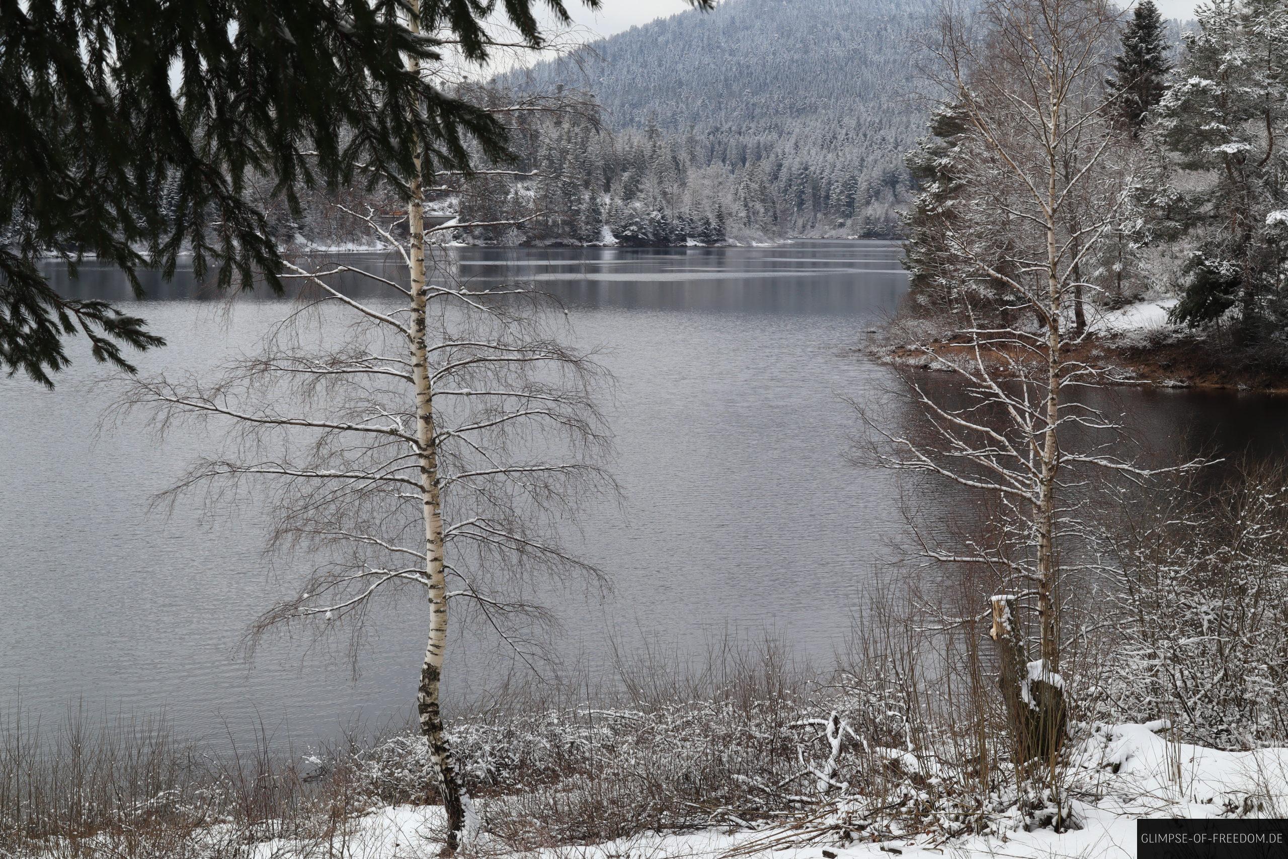 zwei baume am see scaled 1 zwei baume am see scaled